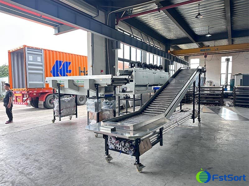 fruit coconut weight grader.jpg fruit coconut weight grader.jpg